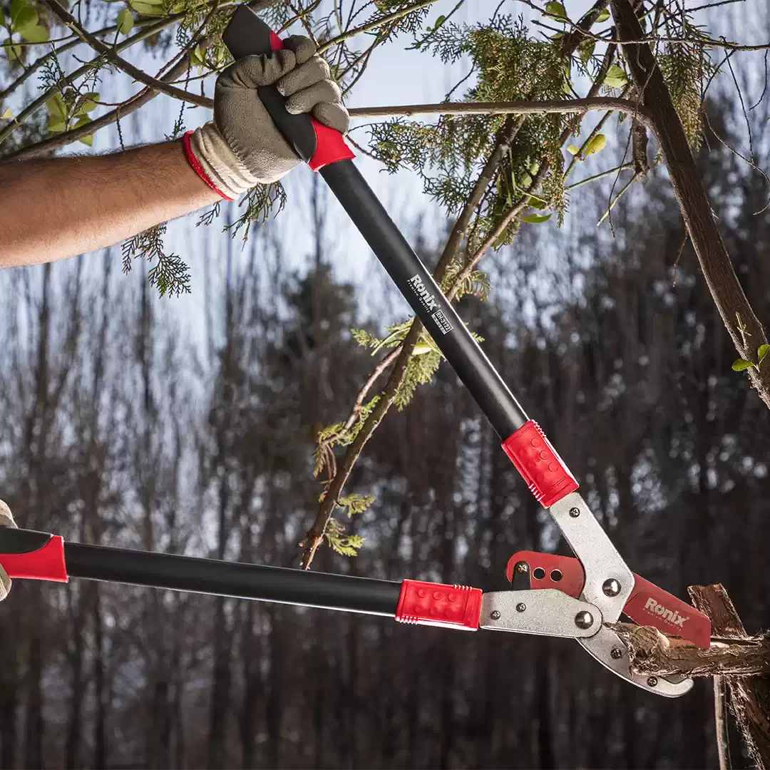 قیچی شاخه زن غیر تلسکوپی - Image 5